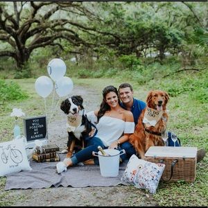 Wedding/engagement bandanas for dogs